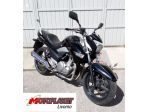 Suzuki INAZUMA 250
