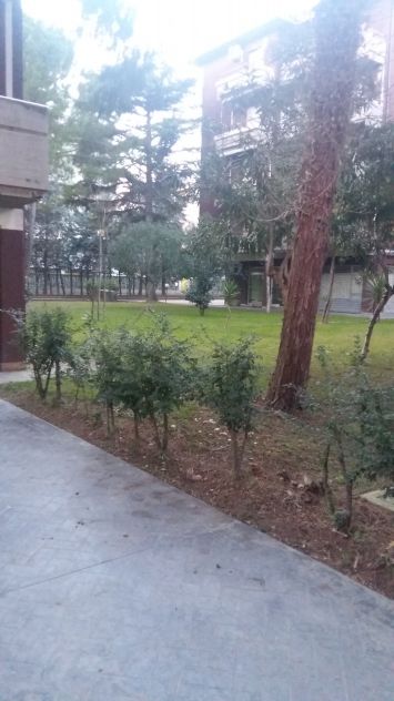 Trilocale in affitto a Silvi Marina - Foto 2