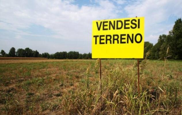 Lotti edificabili in zona residenziale di espansione, comune di colli al metauro
se sogni di costruire la tua casa ideale in un ambiente sereno e circ