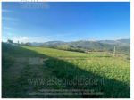 IMMOBILI-ALTRA CATEGORIA-Localita' San Nazzaro snc