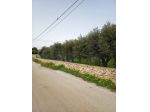 Terreno Edificabile in vendita a Siracusa, Plemmirio