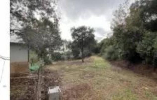 Immobile in asta di 12896 m² in vendita a Ispani - Foto 4