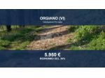 Immobile in asta di 1922 m² in vendita a Orgiano