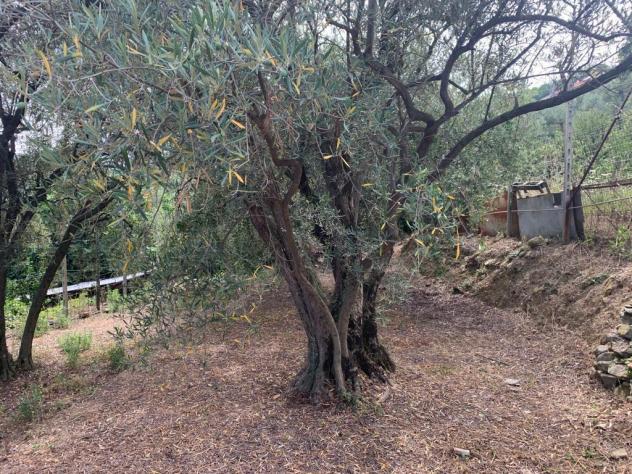 Terreno edificabile in vendita a Vado Ligure - Foto 7