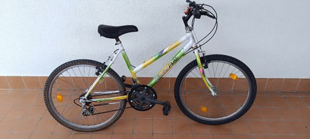 MOUNTAINBIKE - Foto 2