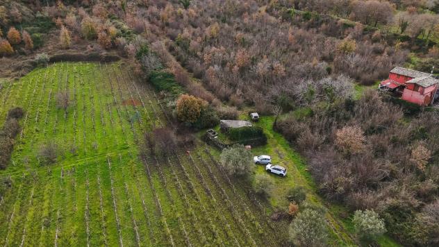Terreno Edificabile in vendita a Randazzo, Montelaguardia - Foto 4
