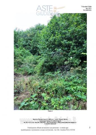 IMMOBILI-ALTRA CATEGORIA-località coppola di riccio - Foto 2