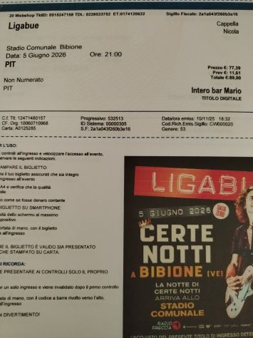 BIGLIETTO LIGABUE