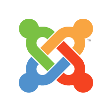 Professionista informatico