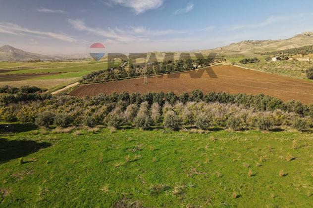 Terreno in vendita a Paternò