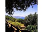 Agriturismo La Focazza