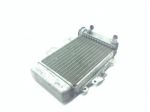 HONDA SH I 125 RADIATORE ACQUA LIQUIDO RAFFREDDAMENTO MOTORE 2009 2012 JF23B0