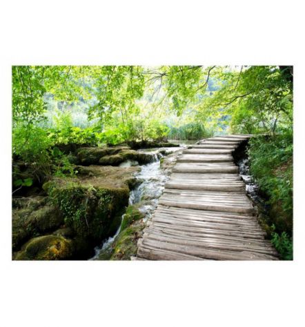 Fotomurale Adesivo Con La Passerella Nel Bosco Arredalacasa - Foto 2