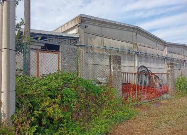Immobile in asta di 4814 m² in vendita a Roncoferraro - Foto 5