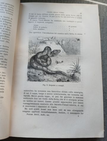 RETTILI, PESCI E ANIMALI ARTICOLATI, Ed. F.lli Treves 1891. - Foto 6