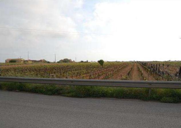 311 - In vendita a Marsala terreno agricolo, zona mare