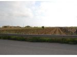 311 - In vendita a Marsala terreno agricolo, zona mare