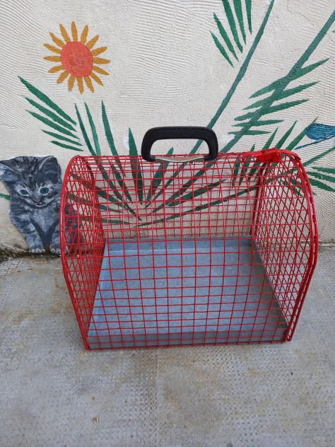 Trasportino per animali