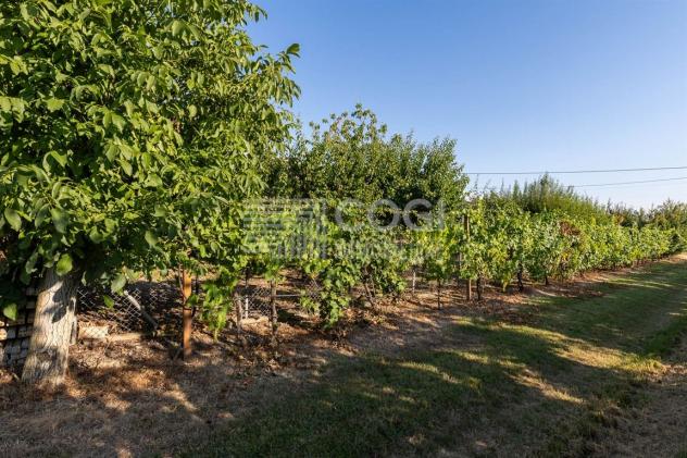 Ampia Porzione di Casa con Giardino e Servizi - Foto 10