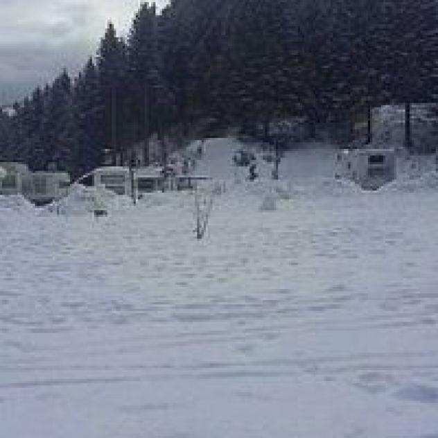 Sole Neve del Trentino S.r.l. - Foto 3