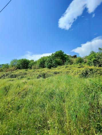 Terreno agricolo in vendita a Carrara 1000 mq  Rif: 1324899