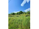 Terreno agricolo in vendita a Carrara 1000 mq  Rif: 1324899