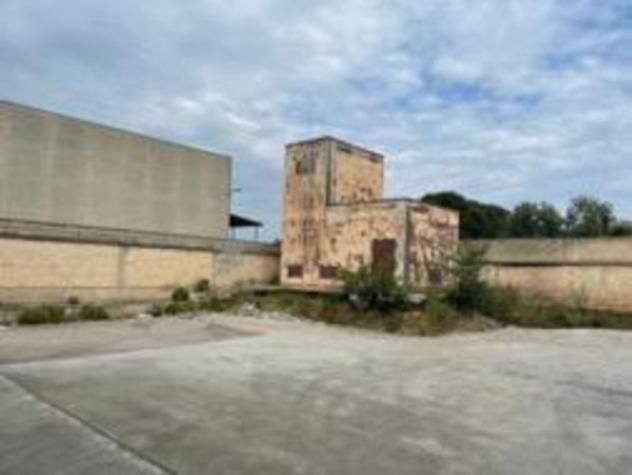 Immobile in asta di 11658 m² con più di 5 locali in vendita a Palo del Colle - Foto 6