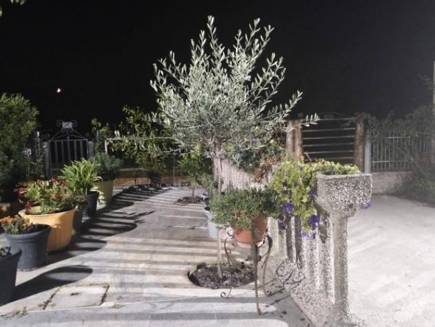 Casa indipendente di 110 m² con 4 locali e box auto in vendita a Mirandola - Foto 2