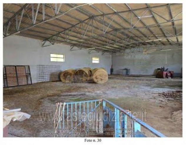 IMMOBILI-ALTRA CATEGORIA-- - Foto 5