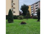 Appartamento in affitto a Pisa 65 mq  Rif: 1432723