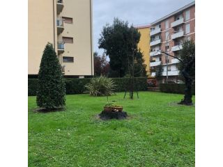 Appartamento in affitto a Pisa 65 mq  Rif: 1432723