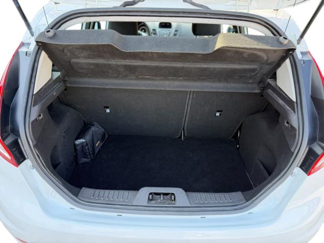 Ford Fiesta Fiesta 5p 1.4 Black&White GPL 95cv - Foto 9