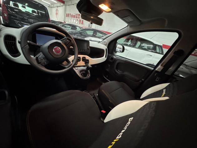 FIAT Panda Panda 1.0 FireFly Hybrid Pandina CROSS VARI COLORI - Foto 7