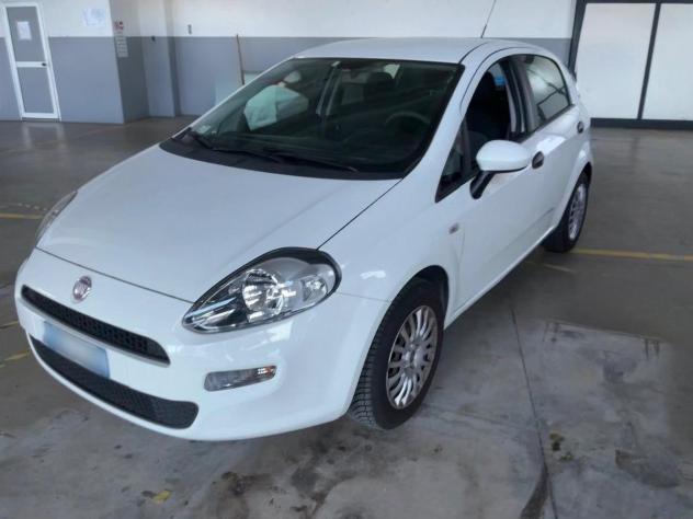FIAT - Punto - 1.2 5p. Street