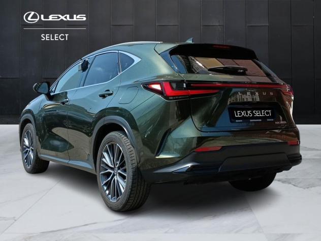 Lexus NX Hybrid Luxury 4WD MY22 - Foto 5