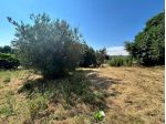 Agricolo in Vicolo Sant'Antonio in Canepine