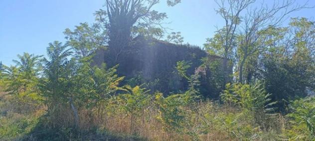Immobile in asta di 4253 m² in vendita a Silvi - Foto 5
