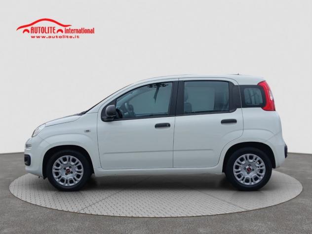 Fiat Panda 1.0 FireFly S&S Hybrid - Foto 2