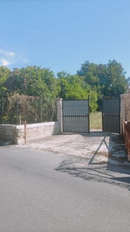 Villa da ristrutturare in paese con 5700 mq di giardino . - Foto 2