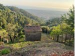 Casa singola in vendita a Massa 70 mq  Rif: 1333838