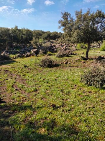 Terreno in vendita a Francofonte