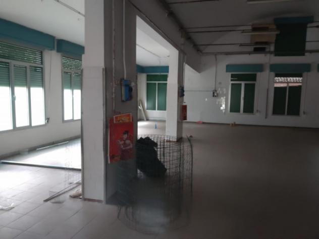 Immobile di 650 m² in affitto a Correggio - Foto 4