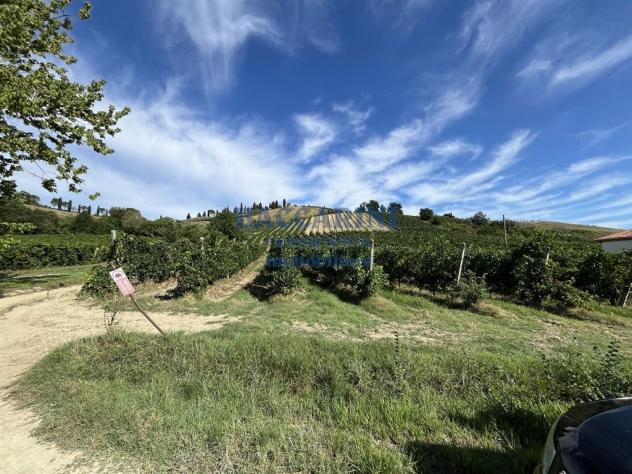 PODERE AGRICOLO CON CAPANNONE - BRISIGHELLA - FAENZA - VIA AGELLO E SANDRONA - Foto 2