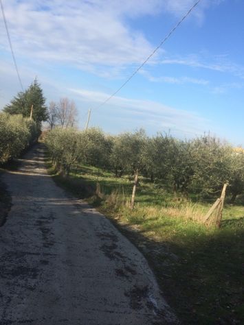 VENDESI lotti terreno agricolo - Foto 4