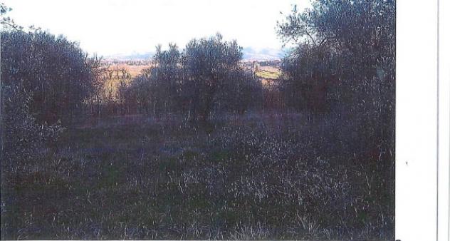 Immobile in asta di 33490 m² in vendita a Perugia - Foto 9