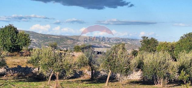 Terreno in vendita a Rosolini - Foto 7