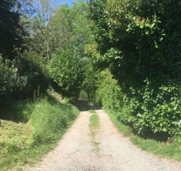 Immobile in asta di 13600 m² in vendita a Tavernerio - Foto 4