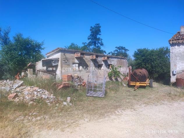 Azienda agricola con casa fienile e 26 ettari circa di terreno agricolo - Foto 5