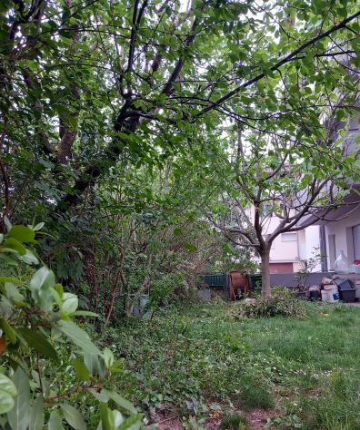 Tn SUD bilocale con GIARDINO - Foto 7