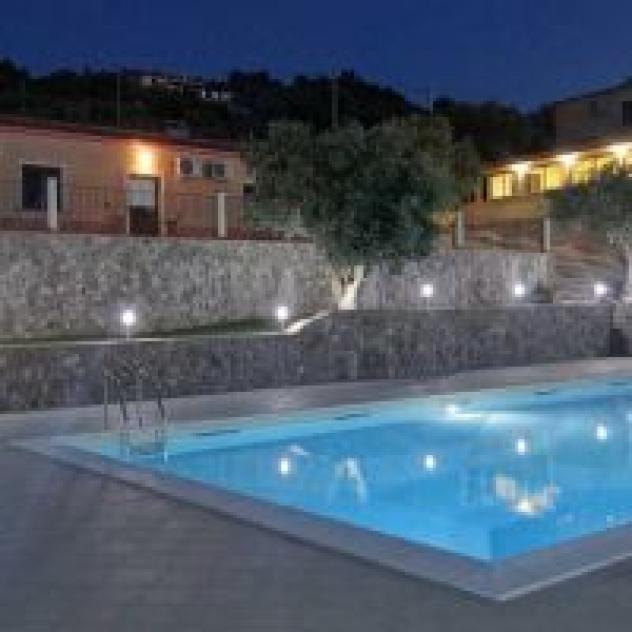 La Valle degli Ulivi